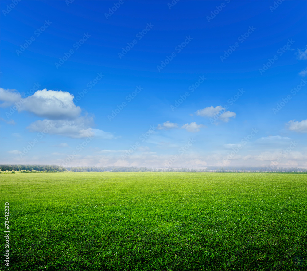 green field and blue sky