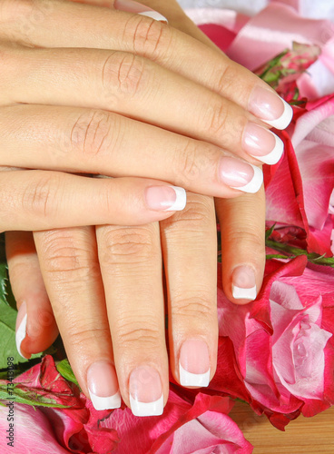 Beautiful woman hands with rose