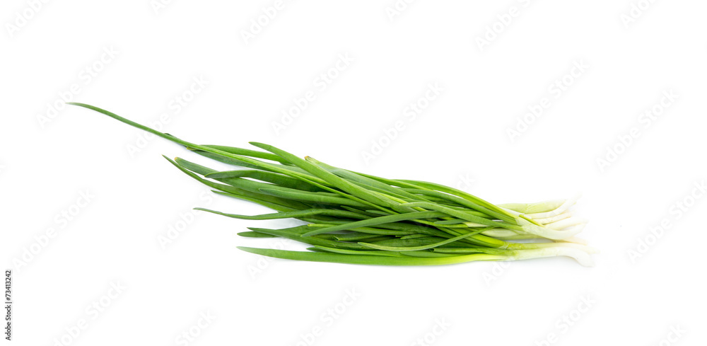 Green Onion Green Onion