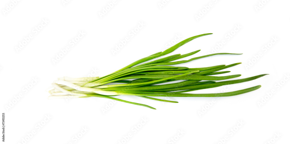 Green Onion Green Onion