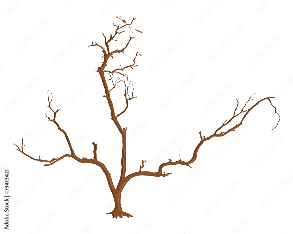 Dead Tree Stem