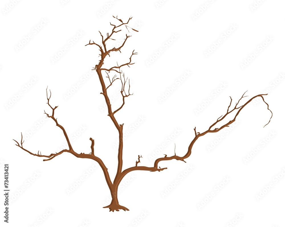 Fototapeta premium Dead Tree Stem