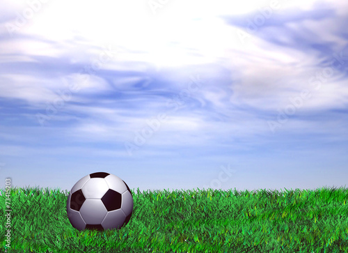 Green grass with soccer ball