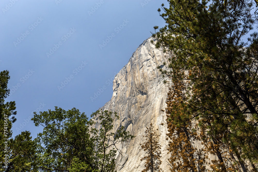 El Capitan, Yosemite national park, California, usa