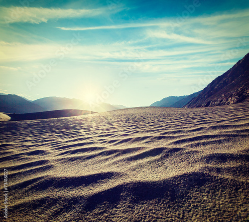 Sand dunes. Nubra valley  Ladakh  India