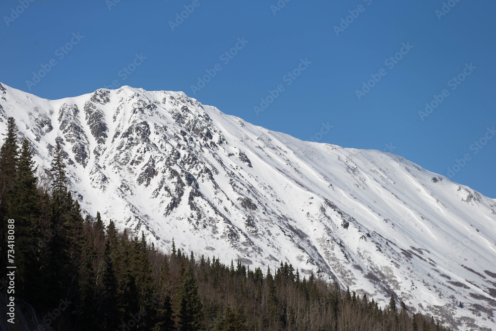 Beautiful Landscapes from Alaska in spring