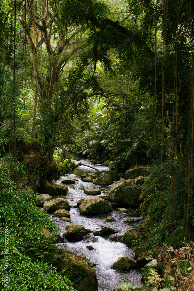 River at Gunung Kawi temple in Bali