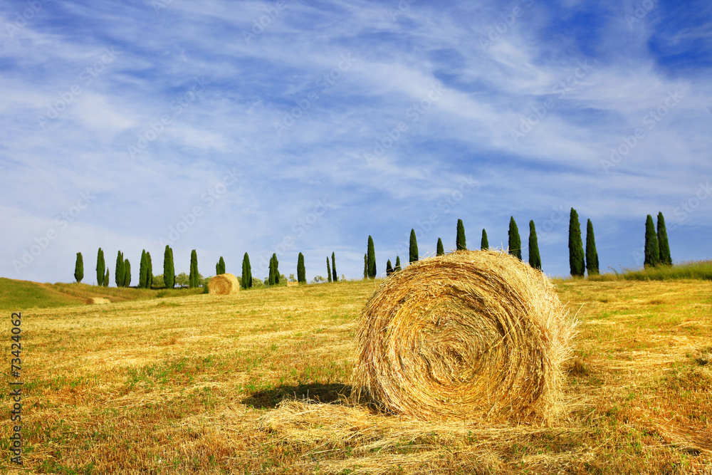 pictorial rural landscapes of Tuscany, Italy