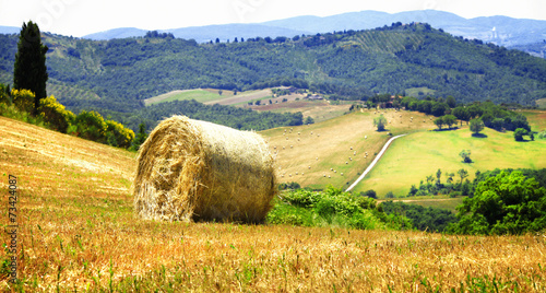 pictorial rural landscapes of Tuscany, Italy photo