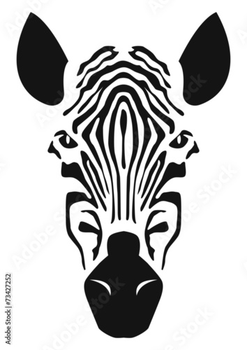 Zebra Wild Animal Head Africa