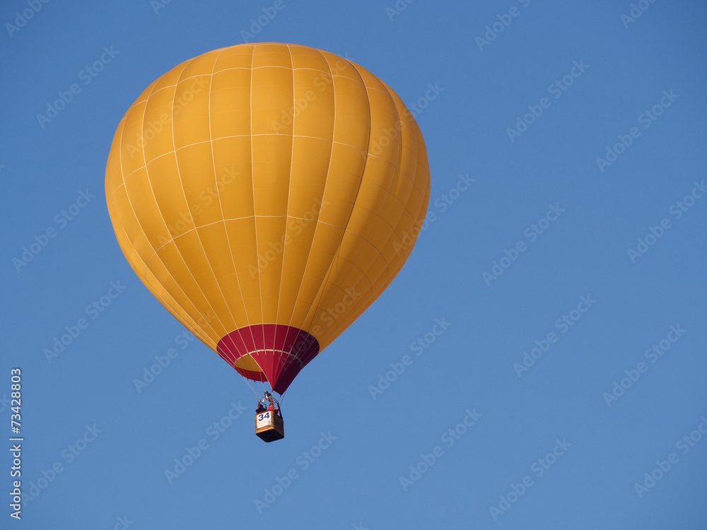 Naklejka premium Montgolfiere #152