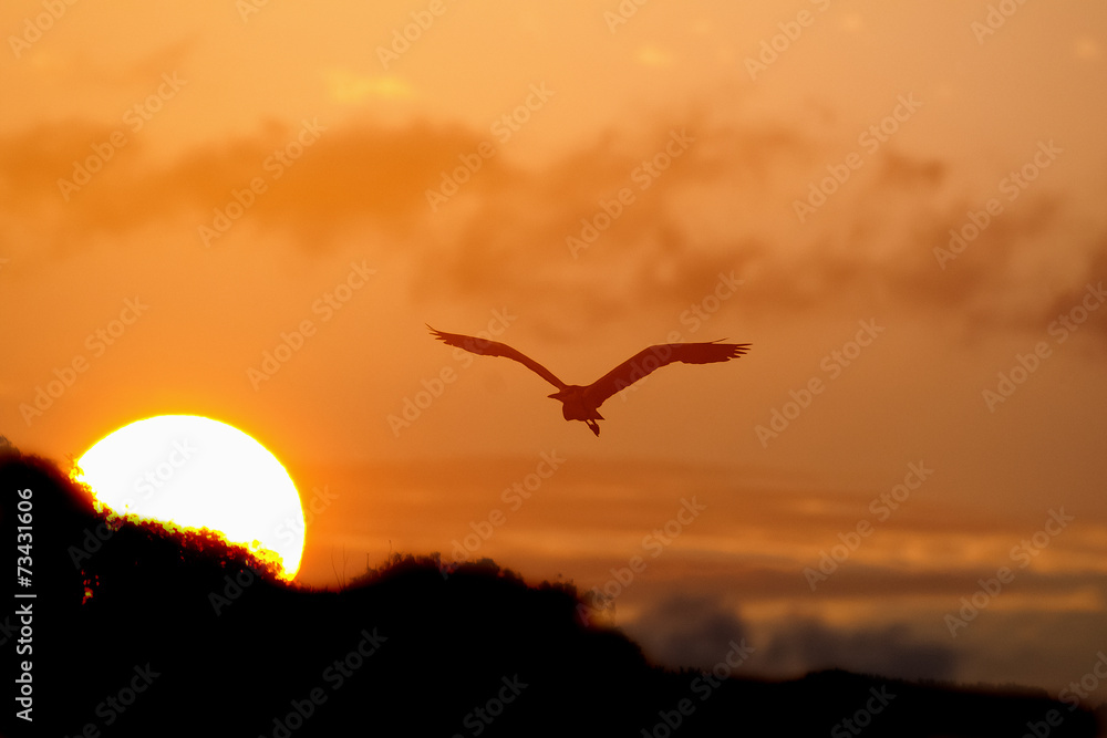 tramonto