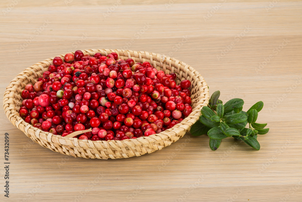 Cowberry Cowberry
