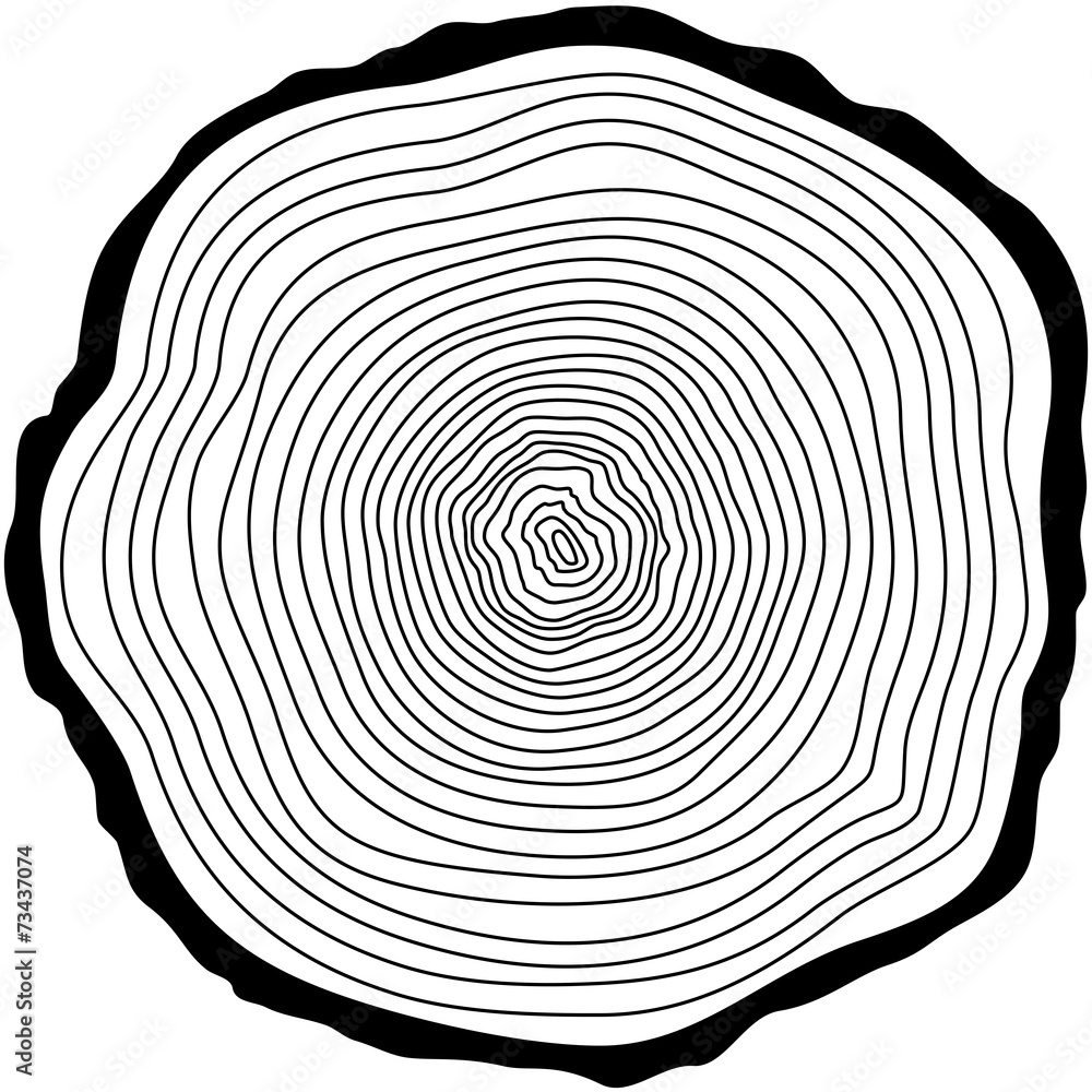 Tree rings. Stock Vector | Adobe Stock