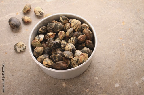 fresh clam shellfish in metal dish
