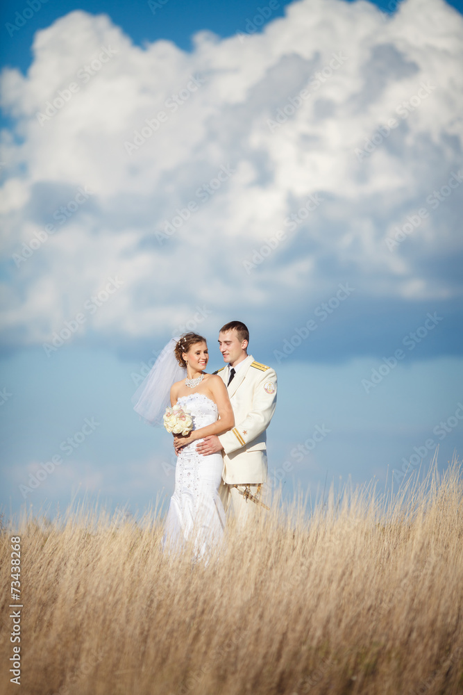 wedding bride groom kiss loving couple marrige wedding bride groom kiss loving couple marrige
