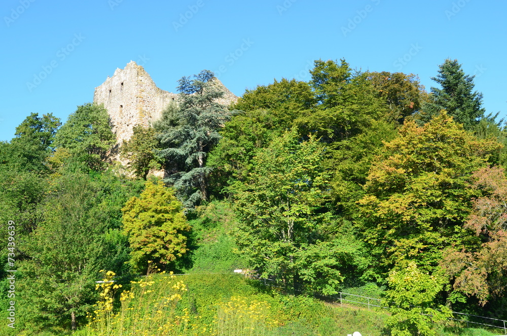 burgruine in badenweiler