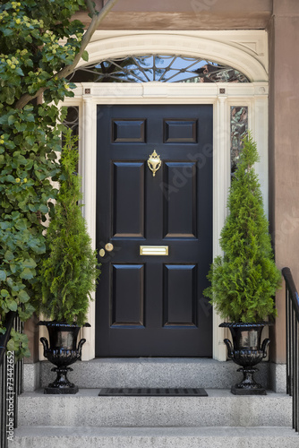 Black Front Door with White Door Frame and Greenery