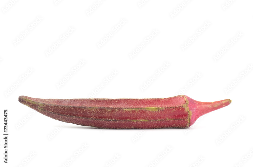 Obraz premium Red okra