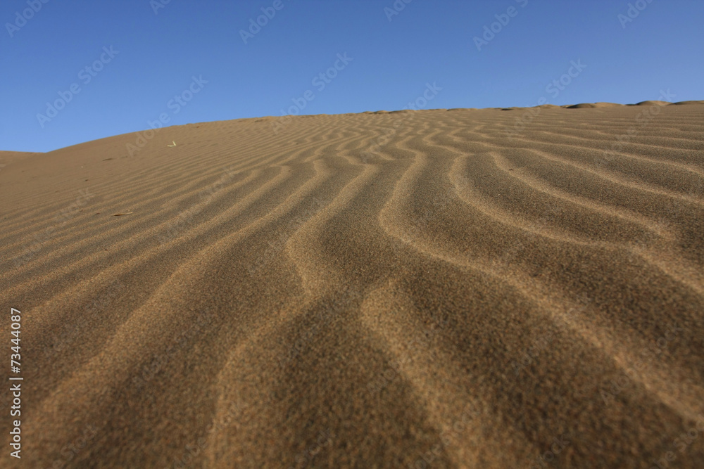 Naklejka premium desert in north China