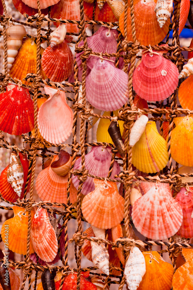 Colorful seashell decoration