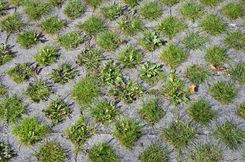 concrete and grass pavement background