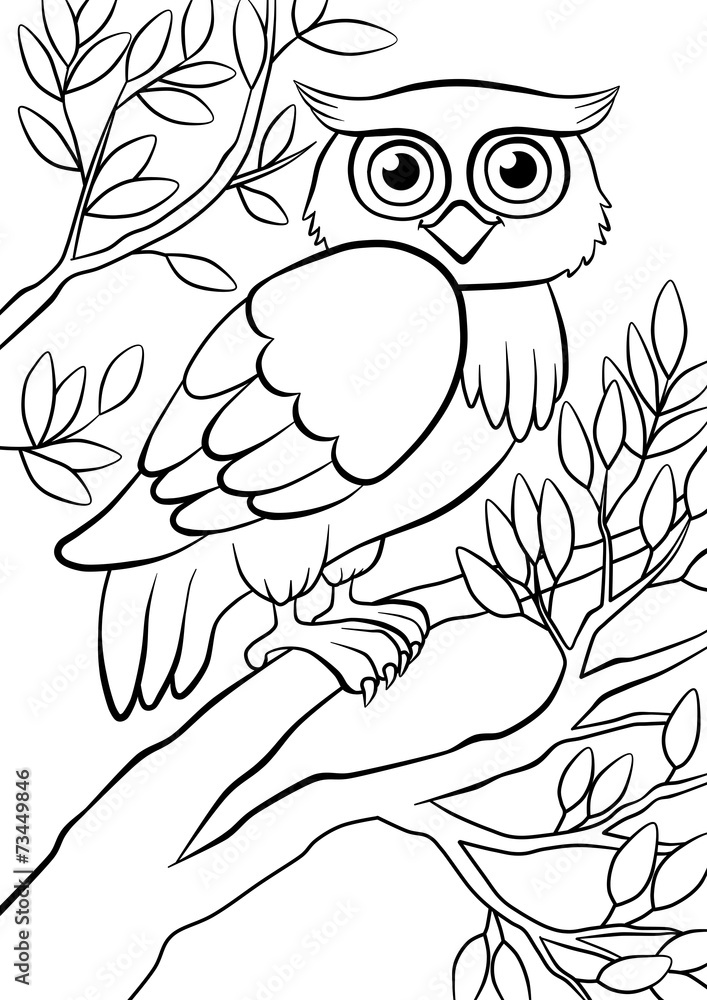 Fototapeta premium cute kind owl sitting on the tree in the forest