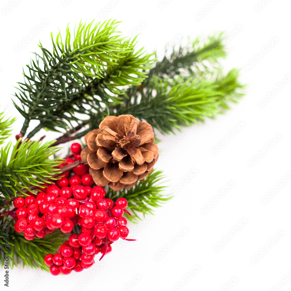 Christmas tree branches border over white Christmas tree branches border over white