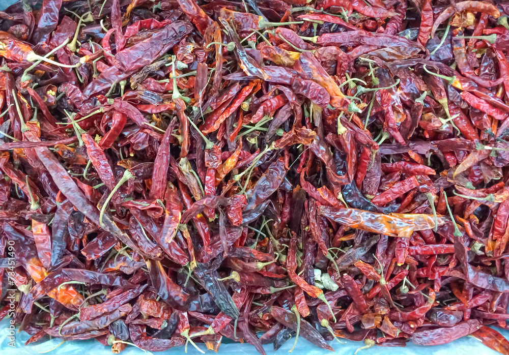 Fototapeta premium Dried chili