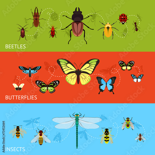 Insects banner set © Macrovector