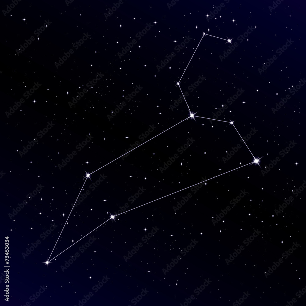 Fototapeta premium Leo constellation