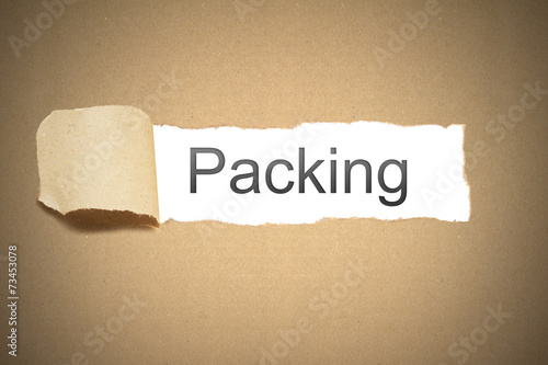 brown package paper carton torn to reveal white space packing
