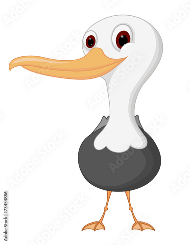 Seagull cartoon