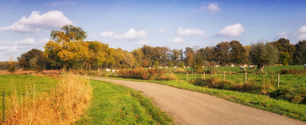 autumn landscape netherlands