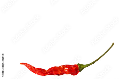 Dried Hot Chili Peppers Isolated on White Background