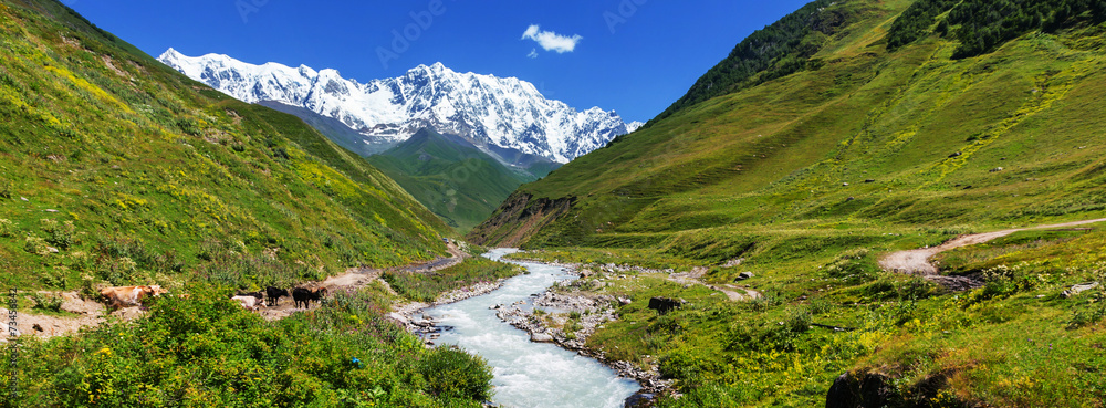 Fototapeta premium Góry Kaukazu