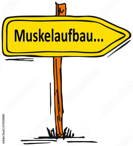 Museklaufbau...