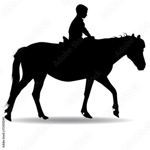 boy in the park riding a horse
