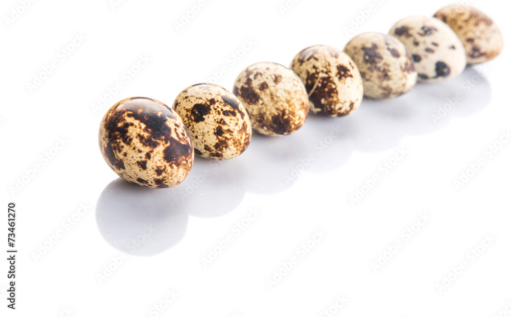 Quail eggs over white background Quail eggs over white background