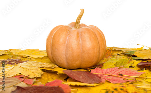 pumpkin and autumn leaves on white