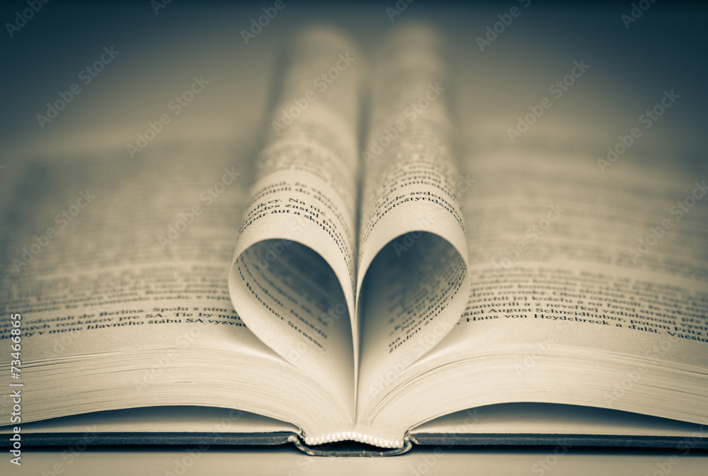 Obraz premium Open book