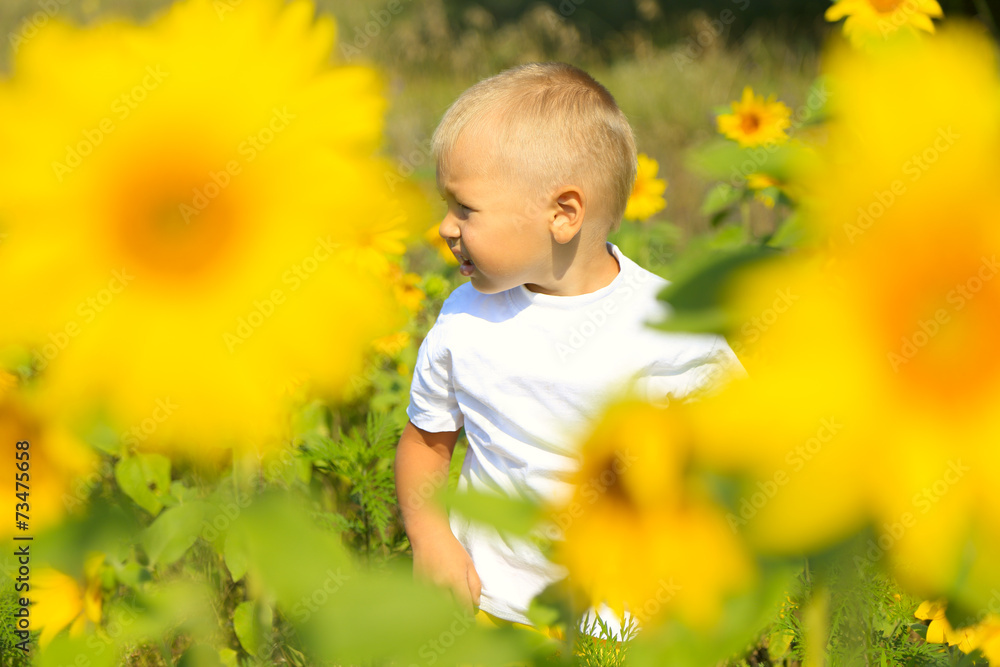 little boy in a field of sunflowers little boy in a field of sunflowers