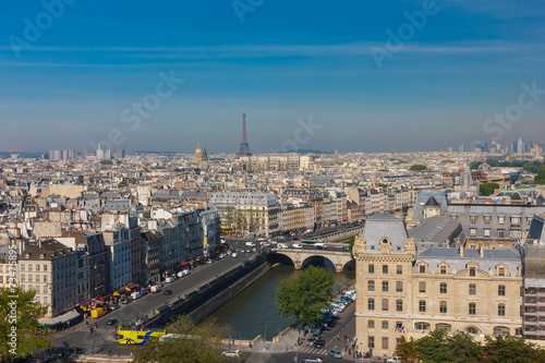 View of Paris from Notre Dame cathedral © Kavalenkava