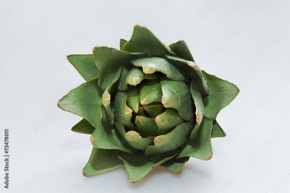 Obraz premium Fresh Artichoke