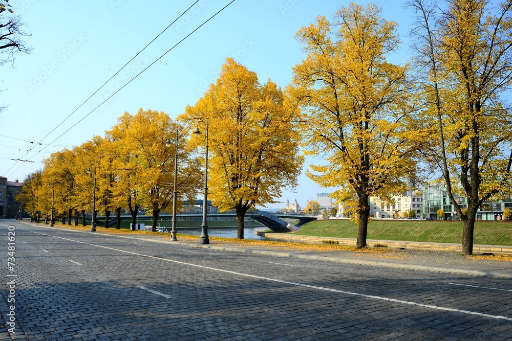 Autumn trees in the Vilnius city centre