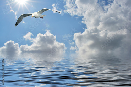 Traum vom Fliegen