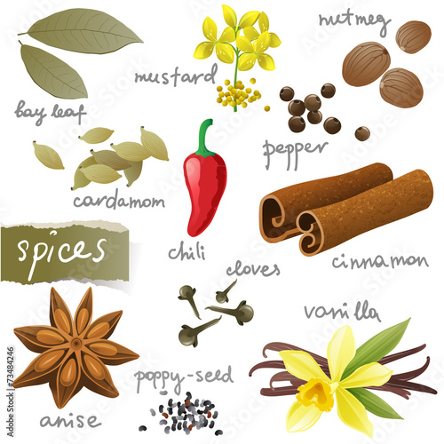 set of different spices