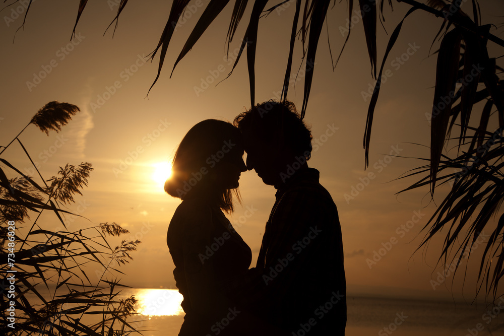Enamorados enmarcados por ramas en puesta de sol