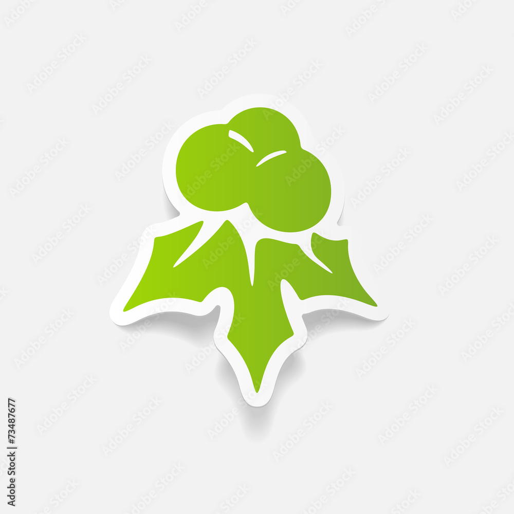 Obraz premium realistic design element: holly berries