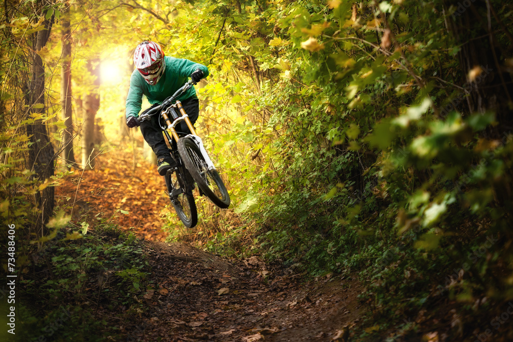 Mountainbiker rides in autumn forest - obrazy, fototapety, plakaty 